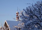Ledove kralovstvi : Zavrchy&Dobrany